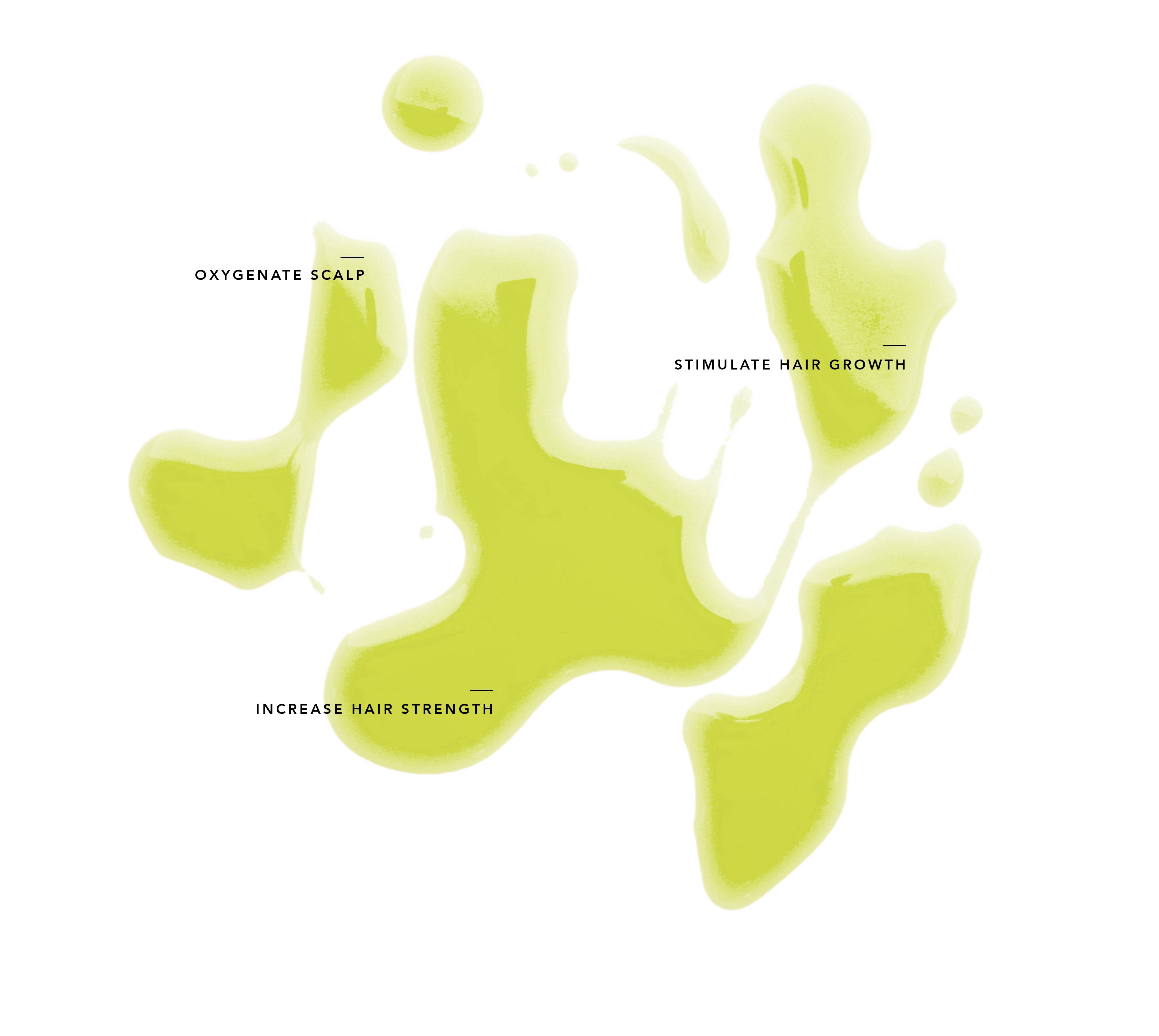 Scalp Sérum | Growth Intelligence