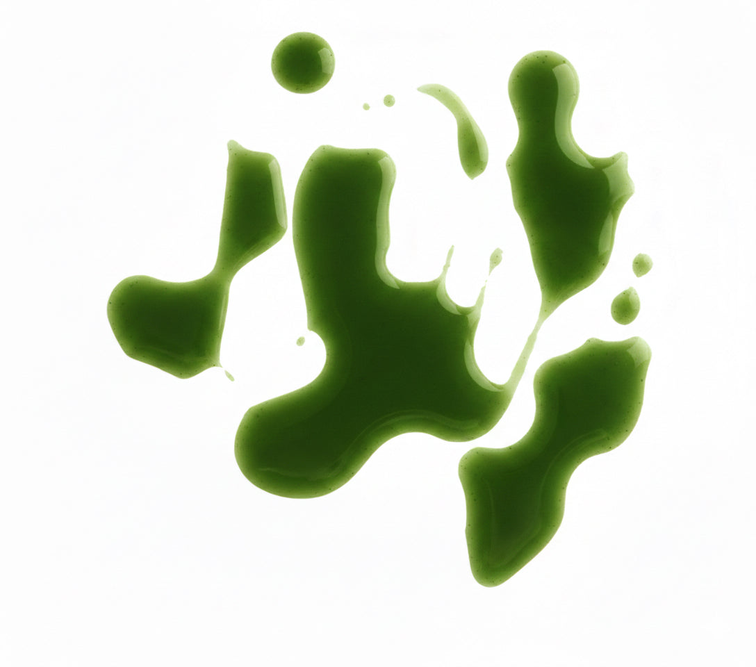 Scalp Sérum | Growth Intelligence