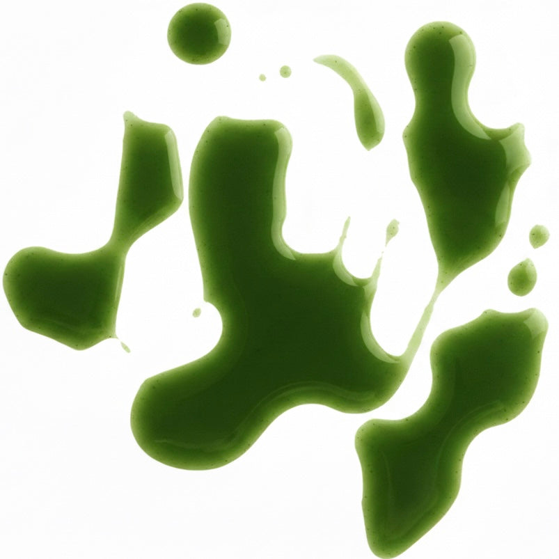 Scalp Sérum | Growth Intelligence